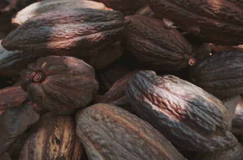 Raw Cacao Health Benefits