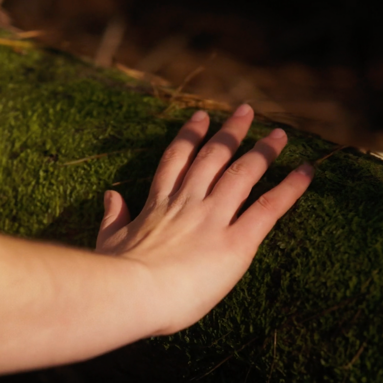 Sacred Earth 250g -Ceremonial Cacao Powder