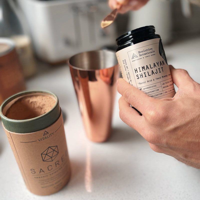 What Makes Cacao a Nutrient Transporter?