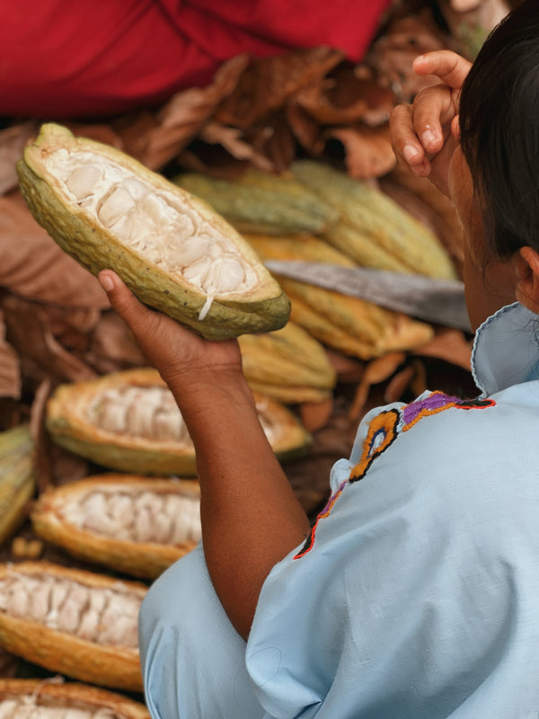 Cacao Vs Cocoa: Nutritional Benefits