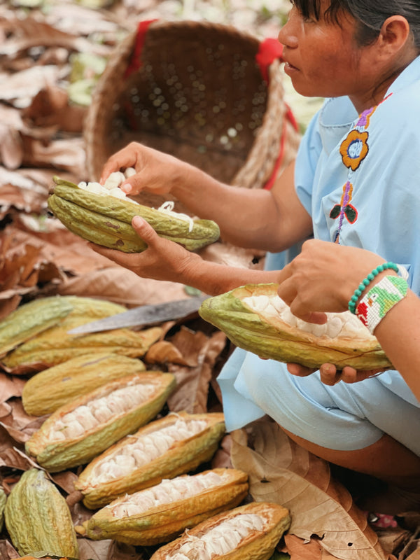 Cacao Vs Cacao: Cultural Roots