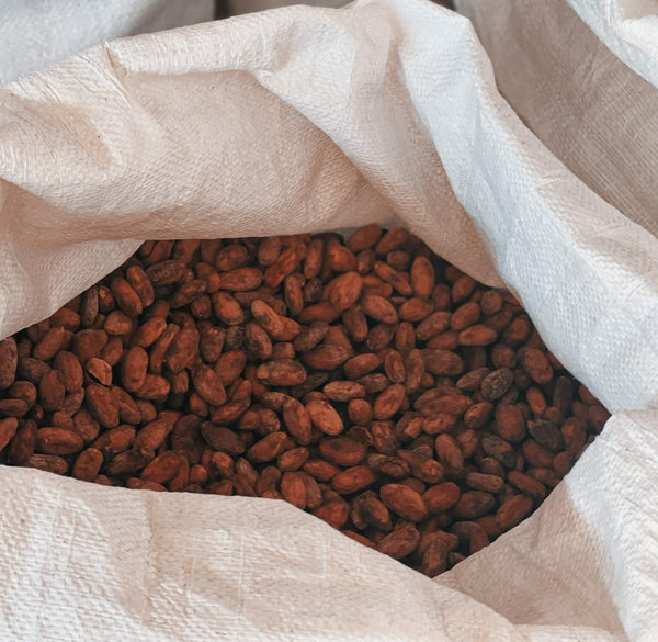 Cacao vs Cocoa The Difference and Why It Matters Sacred Taste