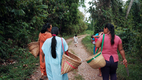 Meet the Ashaninka: Guardians of the Amazon Rainforest